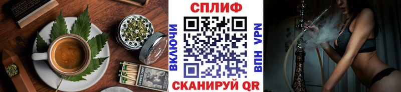 ссылка на мегу ссылка  купить наркотики цена  Снежногорск  Печенье с ТГК конопля 