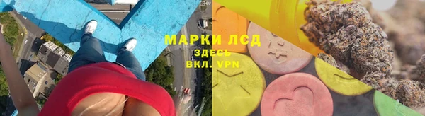 винт Алзамай